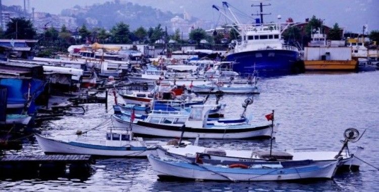 Arslan: "Karadeniz alarm veriyor, balık av sezonu Kasım’da kapanabilir"