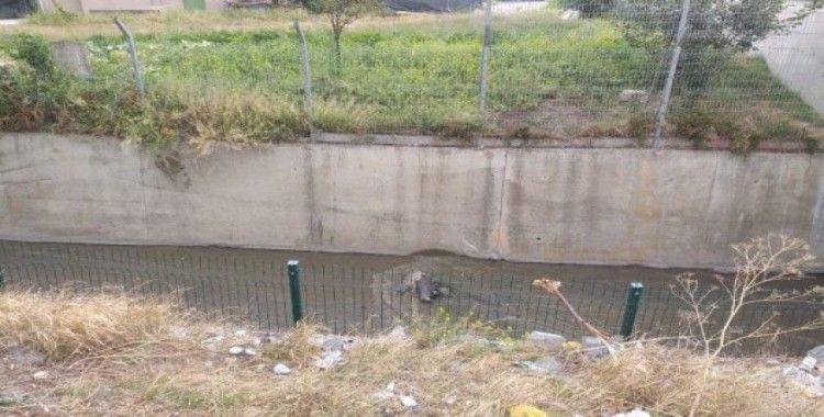 Başkent’te 3 köpek zehirlenip su kanalına atıldı