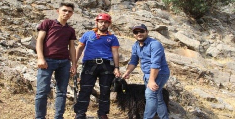 Kayalıklarda 6 gün mahsur kalan keçi, 5 saatlik çalışmayla kurtarıldı