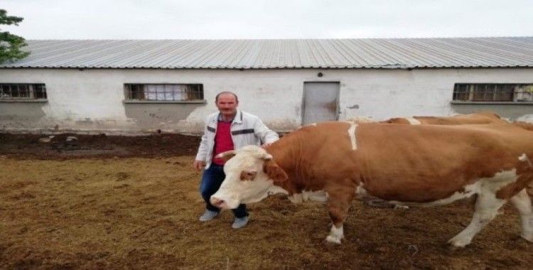 Çalınan hayvanları bulunan çiftçi Ahmet Kuramaz: