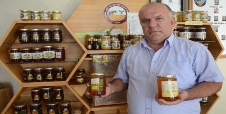 Karadeniz’de gramla üretilen arı sütü, yurt dışına ihracat yolunda