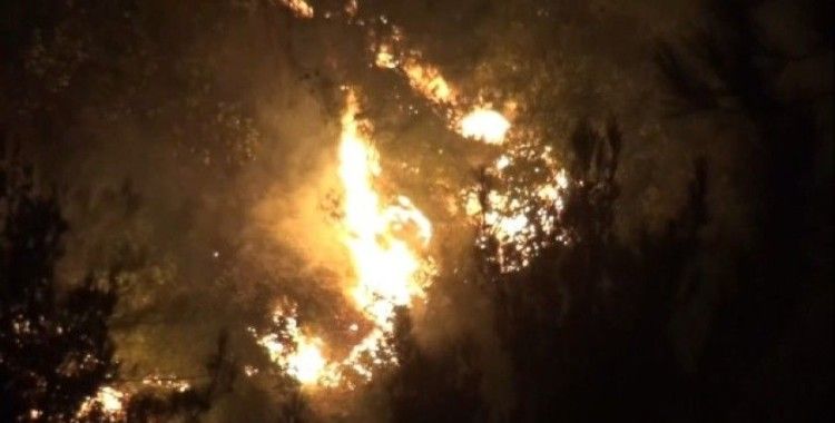 Hatay’da 25 farklı noktadaki orman yangınlarından 24’ü söndürüldü
