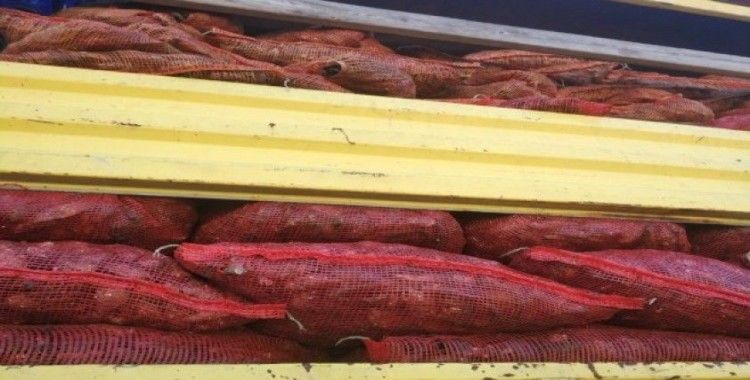 Antalya’da 8 ton kaçak midye yakalandı