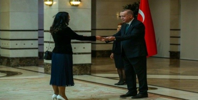Cumhurbaşkanı Erdoğan, Estonya Büyükelçisini kabul etti