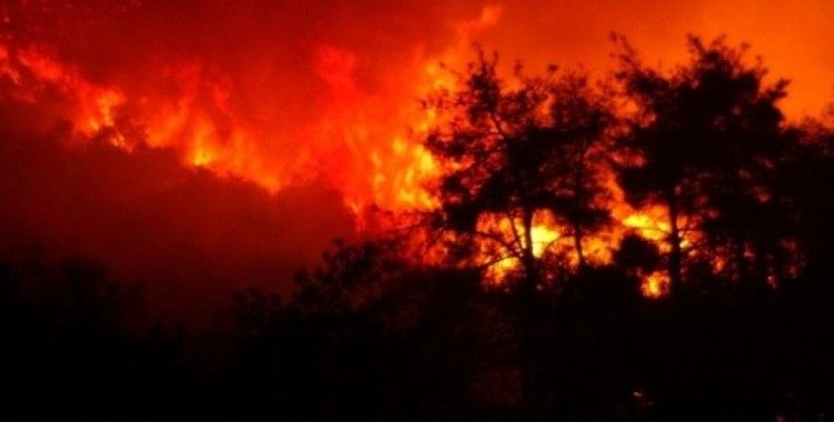 Bursa’da çıkan orman yangını 4 saatte kontrol altına alındı