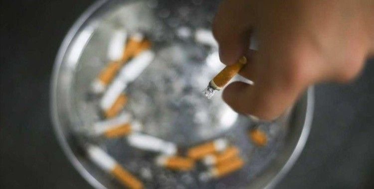 'Fahri sigara denetçiliği'ne STK'lardan tam destek