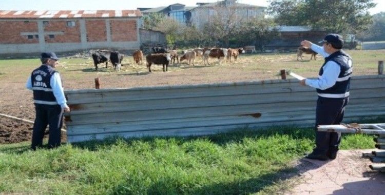 Kartepe’de hayvan barınakları tarım alanlarına taşınıyor