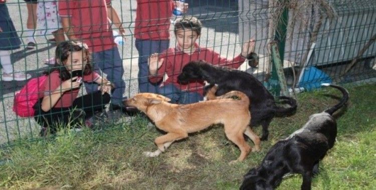 Gaziosmanpaşa’da çocuklar hayvan barınağını gezip, mama dağıttı