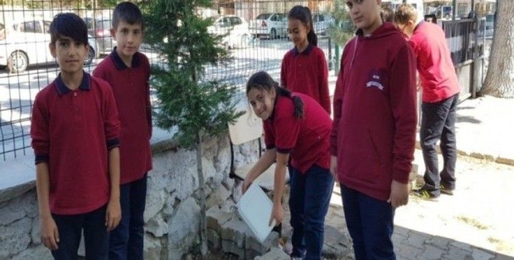 Ortaokul öğrencileri ağaç bakımı yaptı