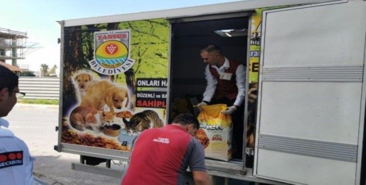 Tarsus’ta sokak hayvanları için 500 kilo mama toplandı