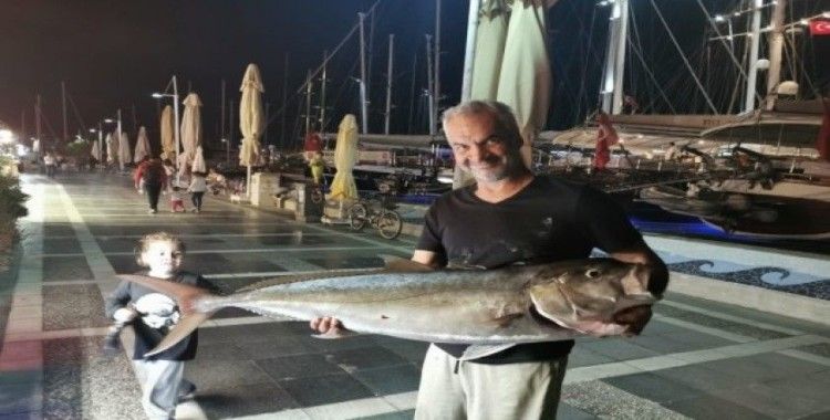 Marmaris’te 30 kiloluk Akya balığı görenleri şaşırttı