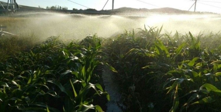 Bayburt’ta 2019 yılı sulama sezonunda 73 bin 50 dekar tarım arazisi sulandı