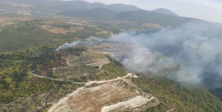 Hatay’da 2 hektar orman ve makilik alan yandı