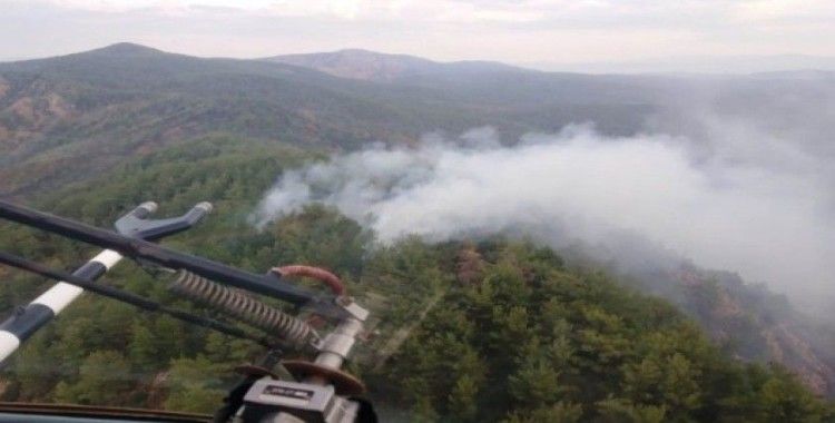 Muğla ve Aydın’da yıldırım 8 orman yangınına neden oldu