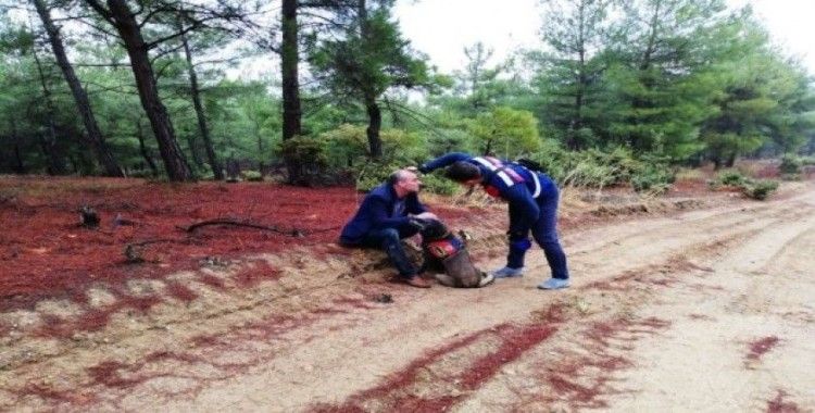 Ormanda kaybolan Orman İşletme Şube Müdürü Zengin’i takip köpeği buldu