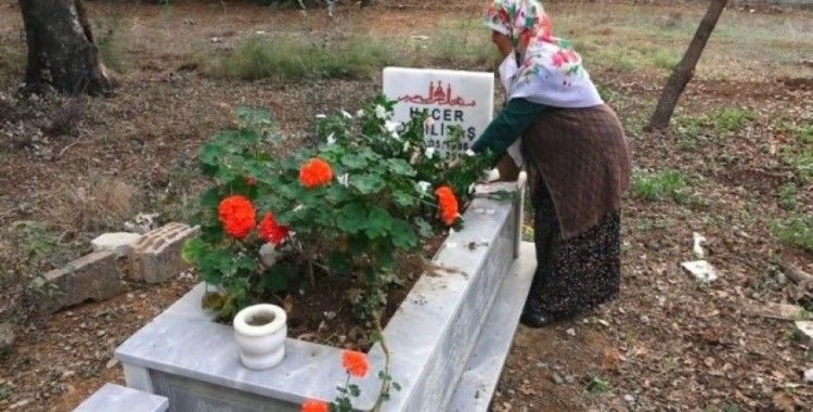 Antalya’da mezarlıktaki kabrin kazılıp etrafına kenevir ekildiği iddiası