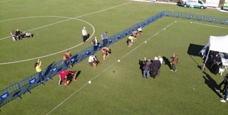 Alman çoban köpekleri Çekmeköy’de yarıştı