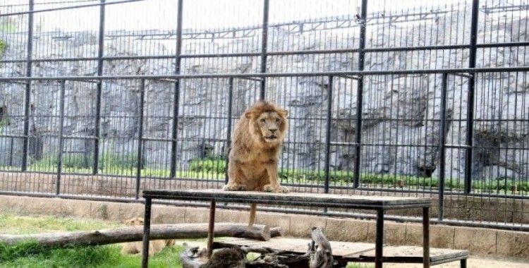 Tarsus’taki hayvan parkı için revizyon çalışması başlıyor