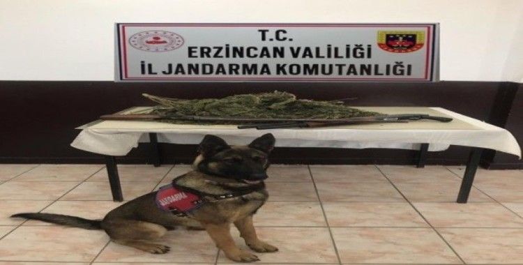 Erzincan’da 2 kilo 400 gram kubar esrar ile 2 adet av tüfeği ele geçirildi