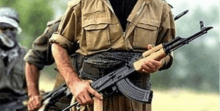 Şırnak'ta bir PKK'lı terörist etkisiz hale getirildi