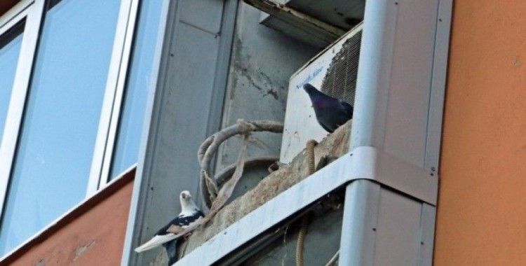 Kuşlar klima motorlarına yuva yaptı, iş merkezinin bakım onarım çalışmaları durduruldu