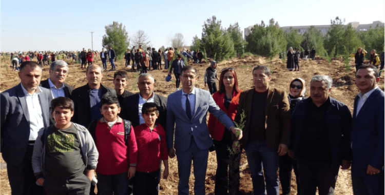Diyarbakır'da fidanlar toprakla buluştu
