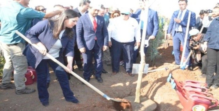 Adana’da 205 bin fidan toprakla buluştu
