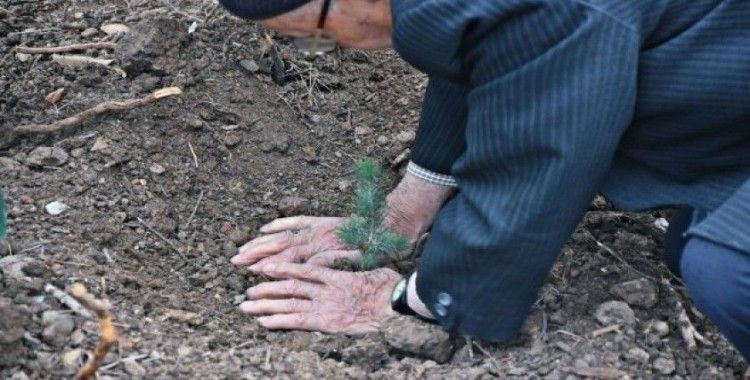 Akhisar Belediyesi ve kaymakamlığının desteğiyle 27 bin fidan toprakla buluştu