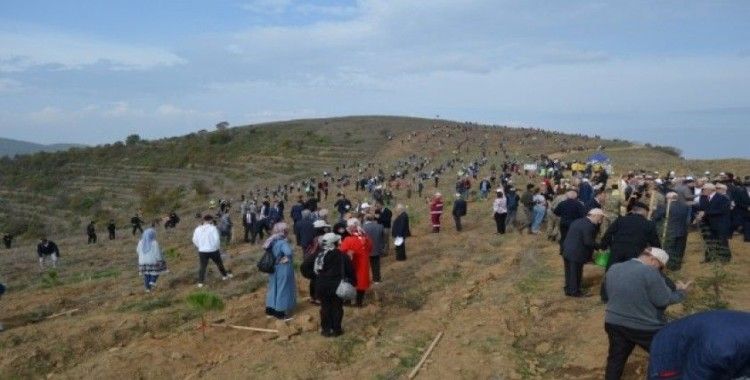 Her yıl Kıbrıs kadar arazi erozyona kurban gidiyor