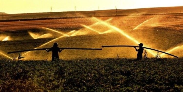 Aydın: “Bitlis’te 7 bin 500 dekar tarım arazisi sulandı”