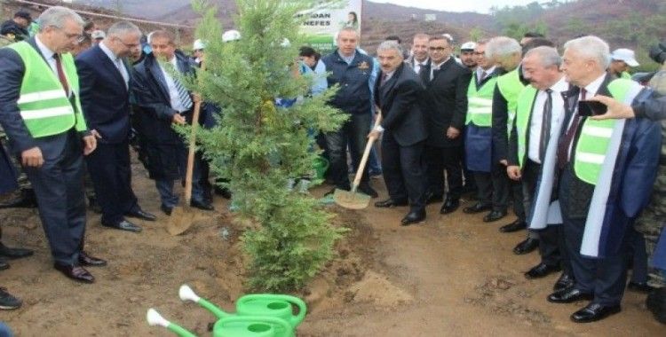 İzmir'de PKK'nın yaktığı alan ağaçlandırılıyor