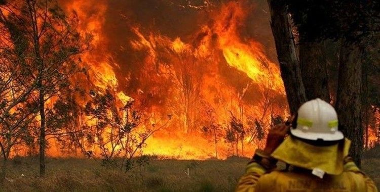 Avustralya'daki orman yangınları Yeni Zelanda'ya doğru ilerliyor