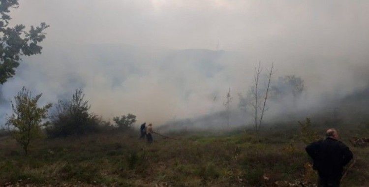 Altınova’da orman yangını