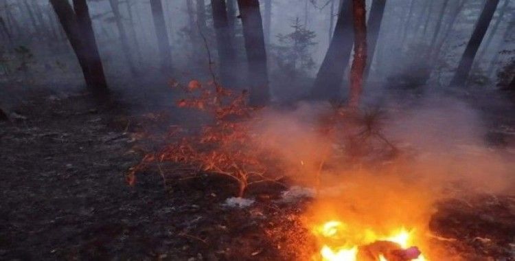 Kastamonu’da 4 hektarlık ormanlık alan yandı