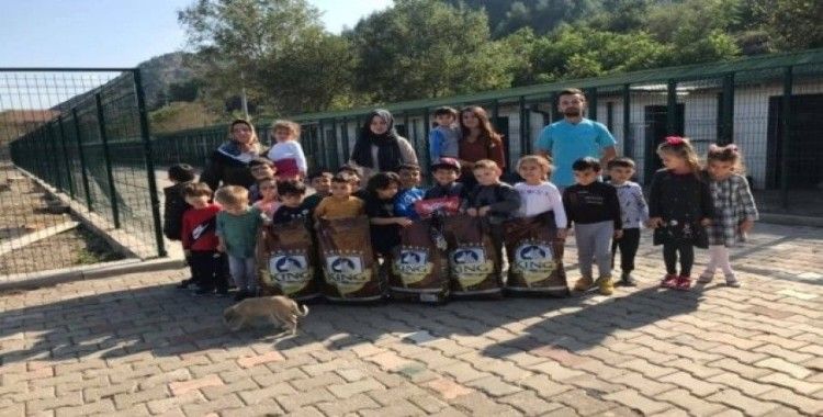 Minik anaokulu öğrenciler köpek barınağını ziyaret etti