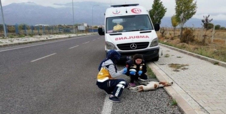 Konya’da 112 çalışanları ’Paşa’ için gözyaşı döktü
