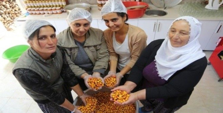 Köyde kadınlar imalathane kurdu, doğal meyvelerle üretime başladı
