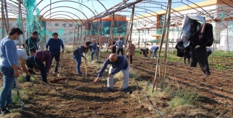 Kumluca’da öğrenciler kışlık sebze ekimi yaptı