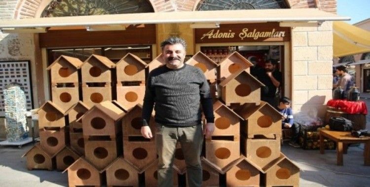 Sokak kedileri için 100 kedi evi