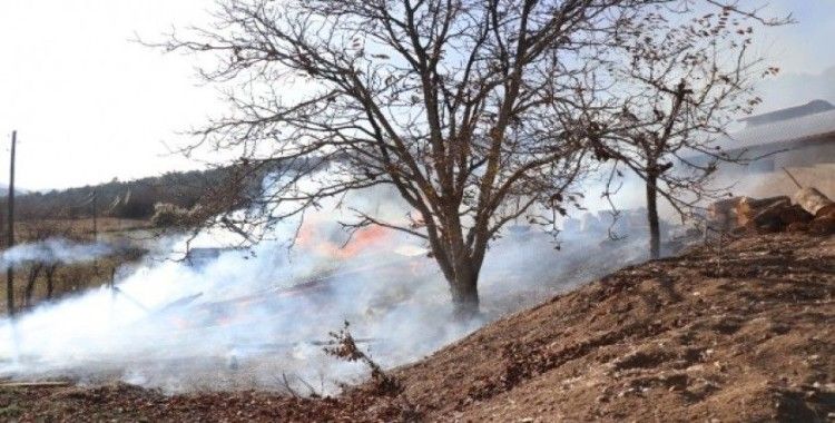 Bolu'da samanlık yangınında yüzlerce tavuk telef olmaktan kurtarıldı