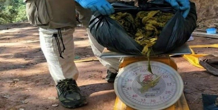 Tayland'ta geyiğin midesinden 7 kilogram çöp çıktı