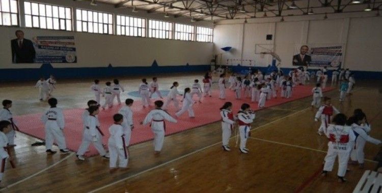 Silifke’de ’Minikler Taekwondo Turnuvası’ düzenlendi