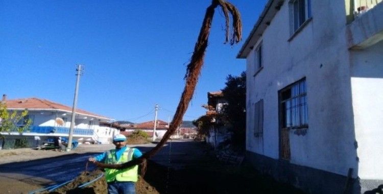 Su borusundan çıkan 6 metrelik ağaç kökü şaşırttı