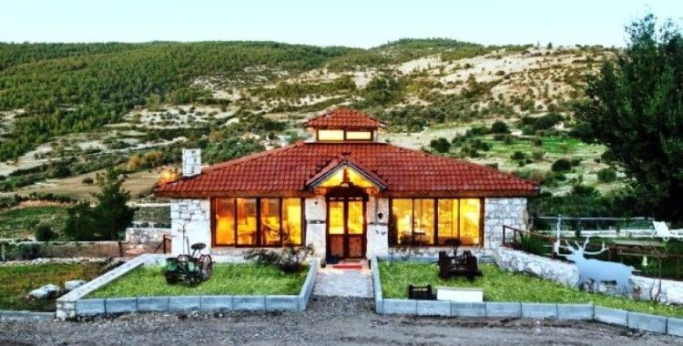 Milas'ta at çiftliği