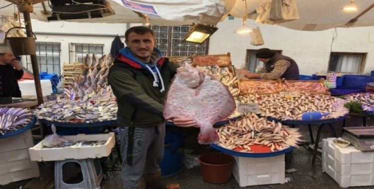 2 kilo 800 gram kalkan balığı 450 liraya alıcı buldu