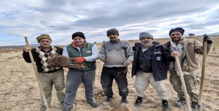 Karaman’da dağ köylerine 50 bin üzüm fidanı dağıtıldı