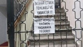 Bu görüntüler gülme krizine sebep olabilir!