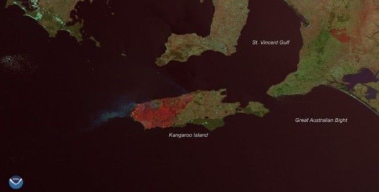 Kanguru Adası'nın üçte biri yandı