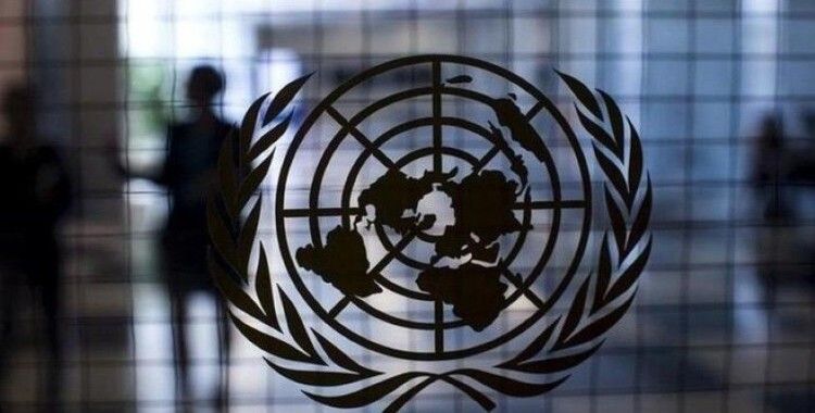 BM'de 10 ülke borçlarını ödemediği için oy kullanma hakkını kaybetti