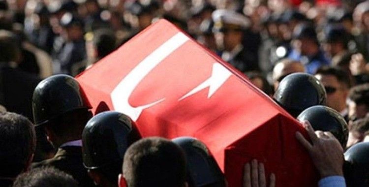 Üzücü haber geldi: Bir asker bir korucu şehit oldu